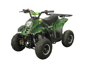 Квадроцикл ATV Classic 6 2024