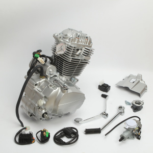 Двигатель ZS165FMM (CB250D-G)