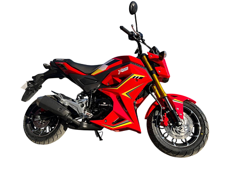Мотоцикл PROMAX STRYKER 200